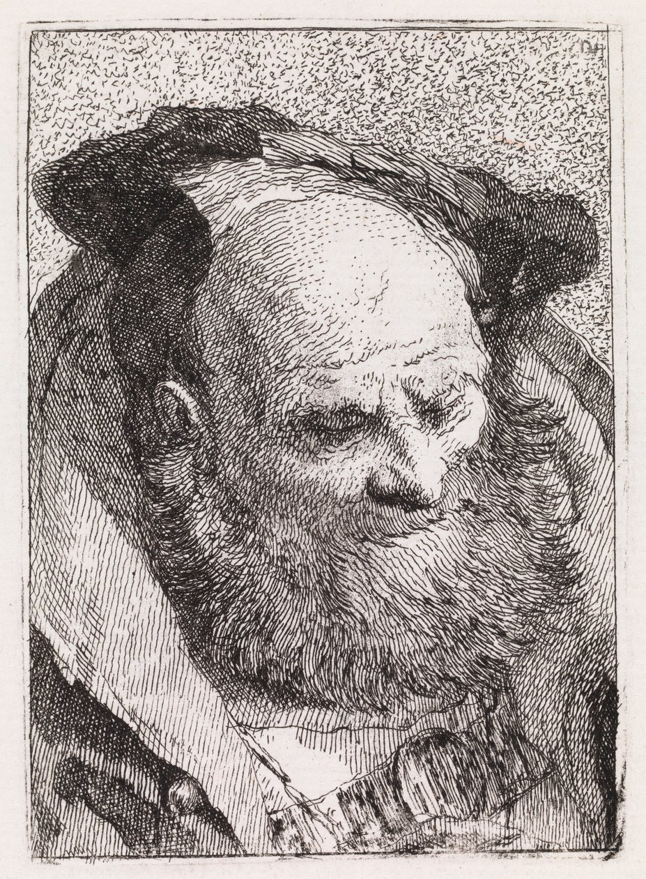 Den skäggige gamle mannen av Giovanni Domenico Tiepolo