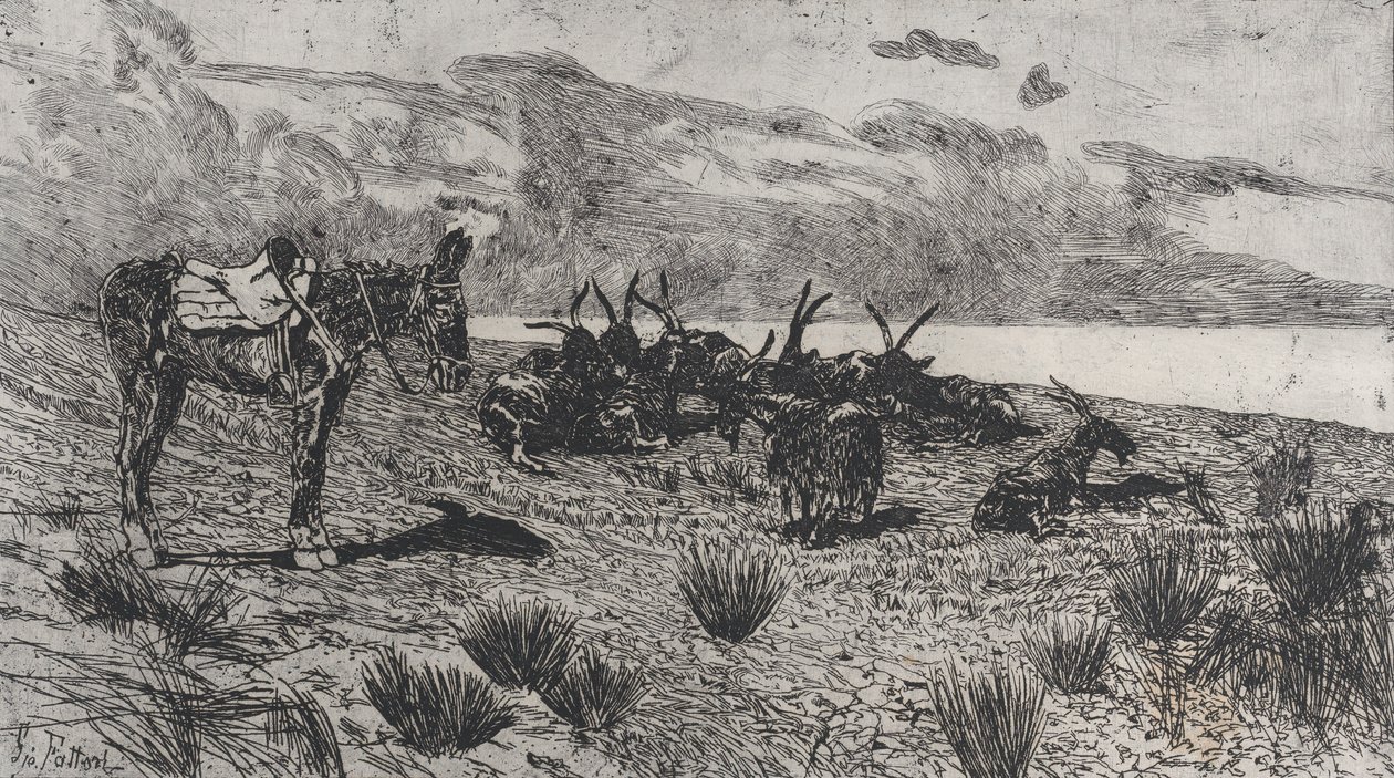 Åsna och getter på en strand på vintern, 1884-1908. av Giovanni Fattori