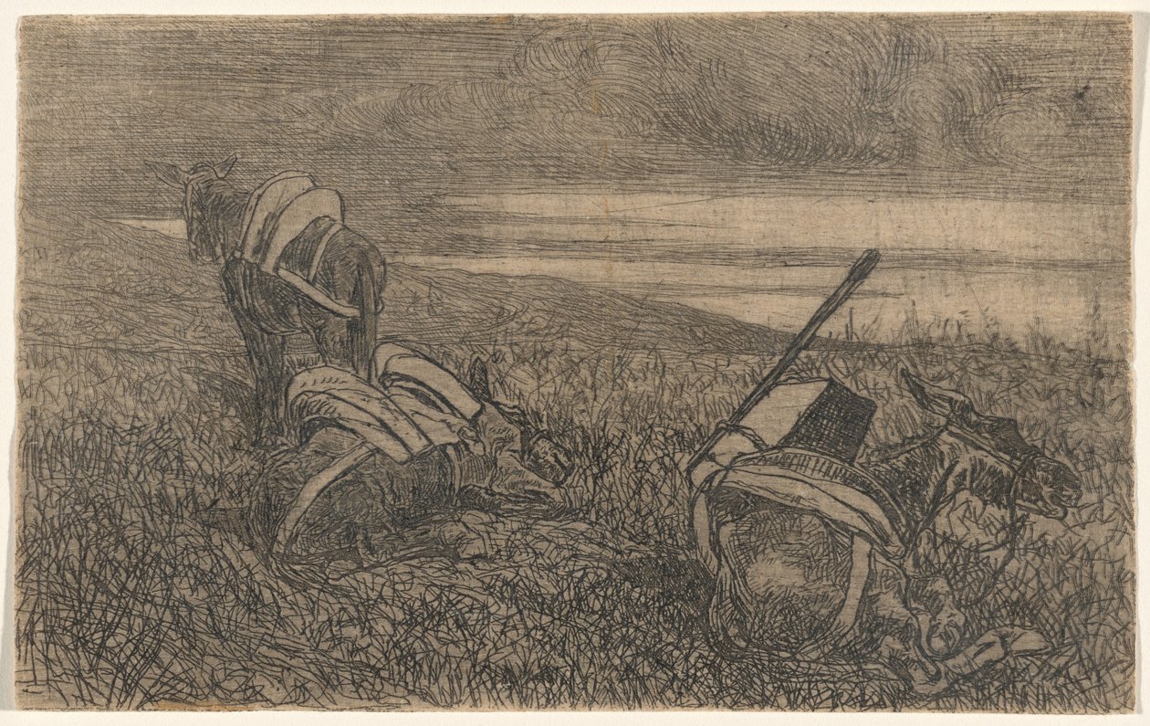 Små åsnor i vila av Giovanni Fattori