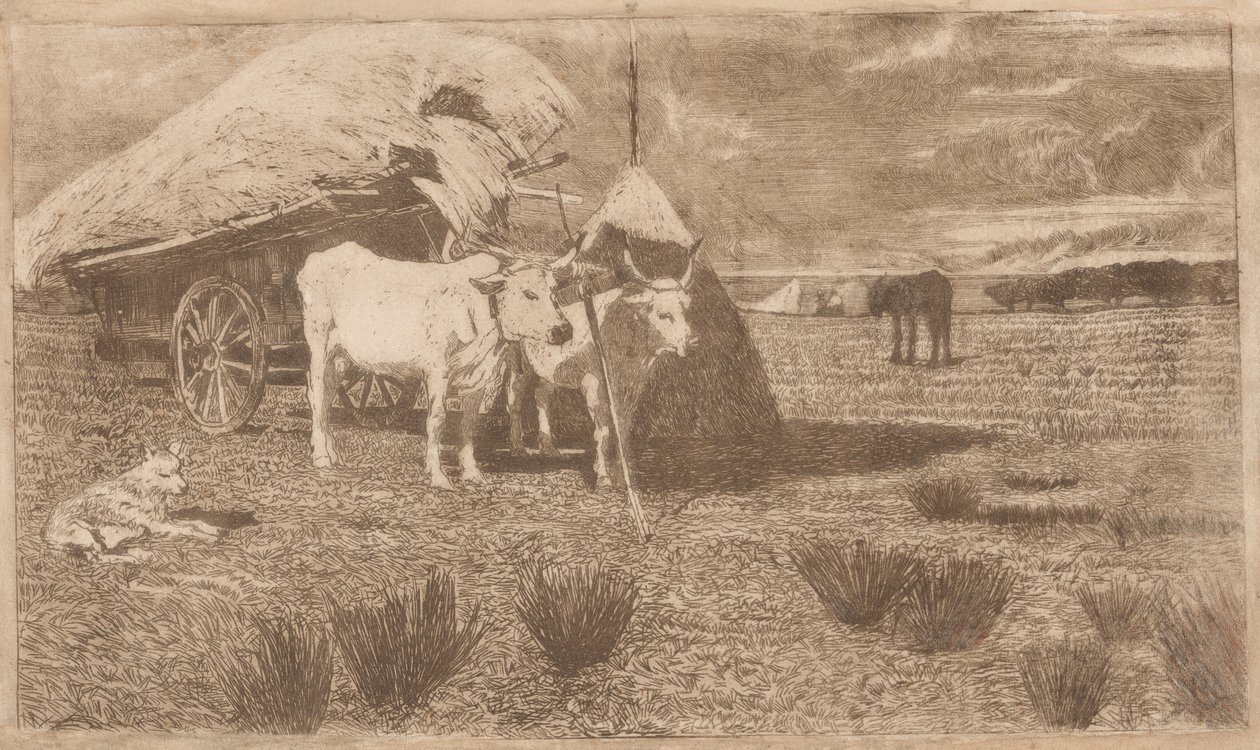 Oxar spända framför en vagn (Maremma) (Bovi al carro (Maremma)) av Giovanni Fattori
