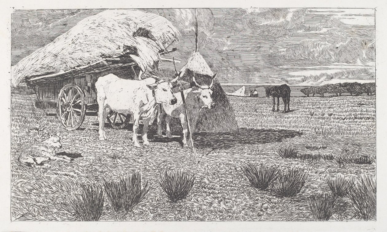 Oxar spända för en kärra (Maremma) av Giovanni Fattori