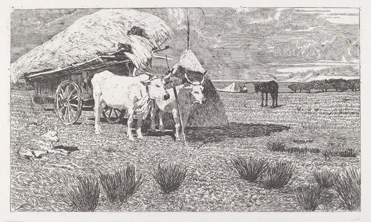 Oxar okade till vagnen (Maremma) av Giovanni Fattori