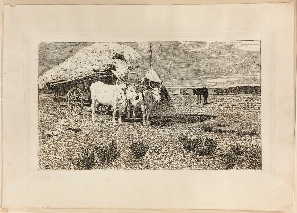 Oxen and Wagon (Maremma) av Giovanni Fattori