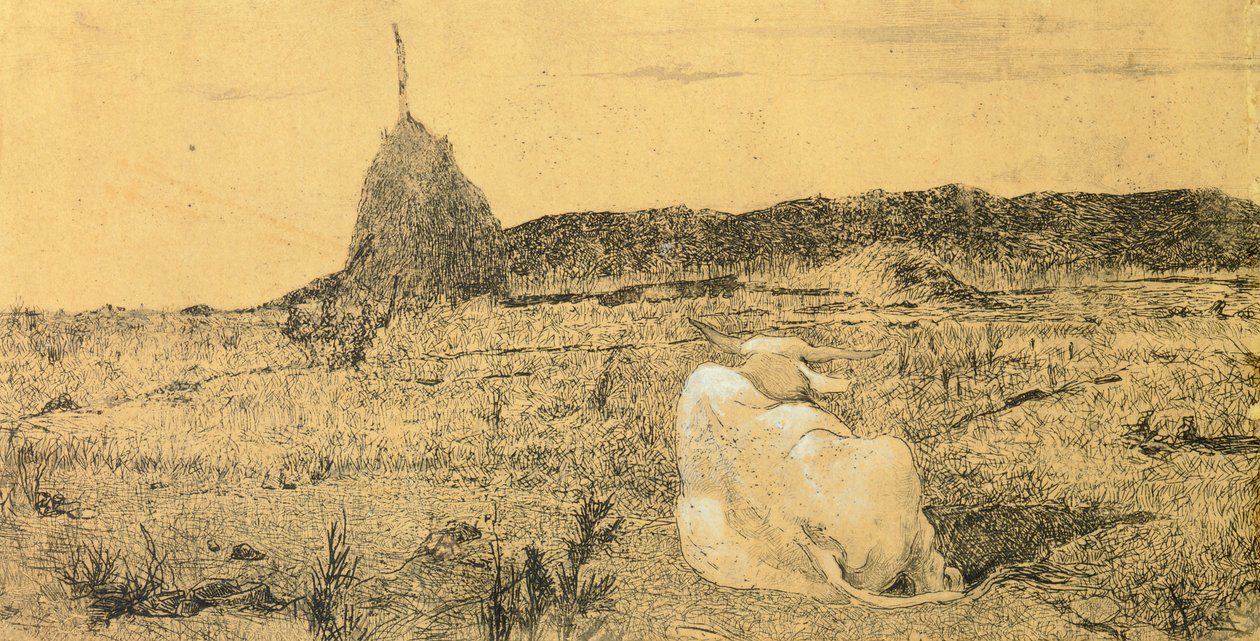 Pio Bove (From eller fredlig oxe) av Giovanni Fattori (1825-1908), etsning av Giovanni Fattori