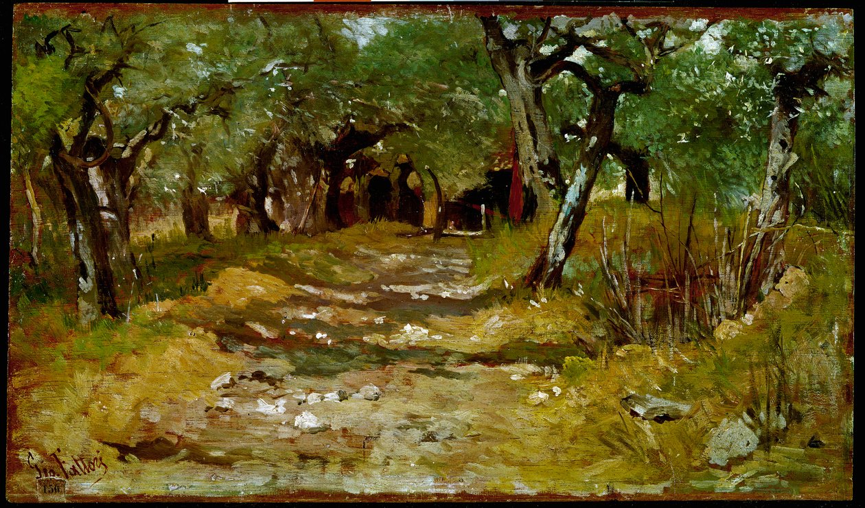 Vägen mellan oliver Målning av Giovanni Fattori (1825-1908) 1890-1900 sön. 19x33 cm Florens, Galleria d