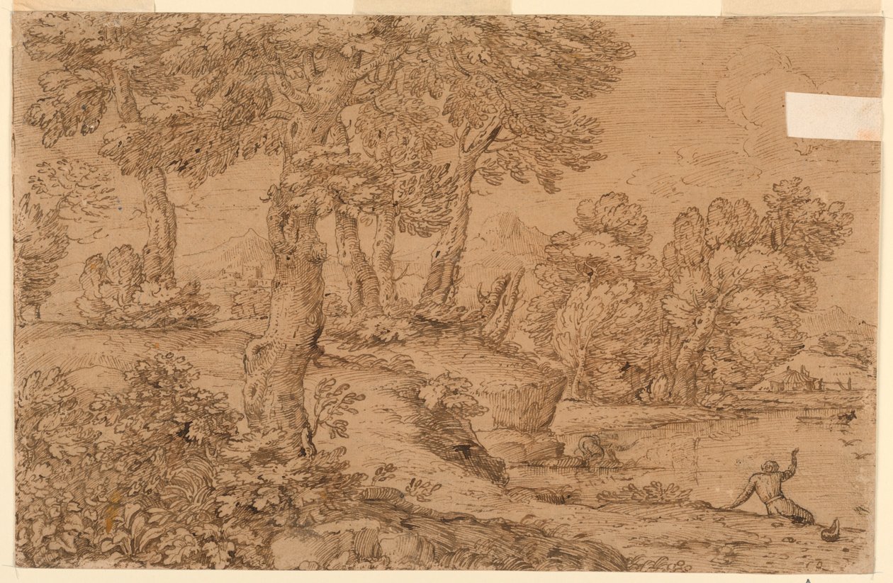 Skogbevuxen landskap med en damm av Giovanni Francesco Grimaldi