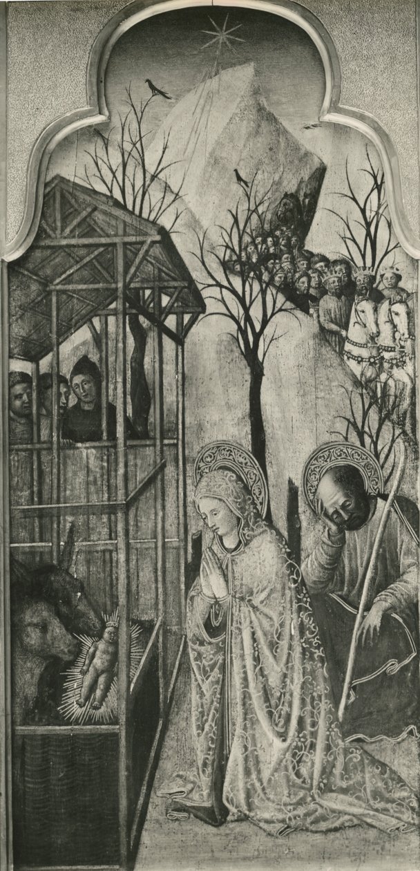 Cycle of the Life of the Virgin, Nativity, c.1445 (olja på poppelpanel) av Giovanni Francesco da Rimini