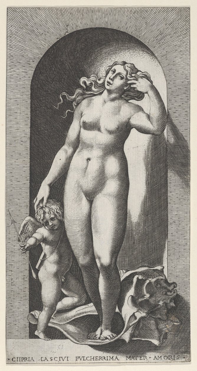 Plåt 10: Venus i en nisch, stående på ett snäckskal, med Amor till höger om henne, från en ser..., 1526. av Giovanni Jacopo Caraglio