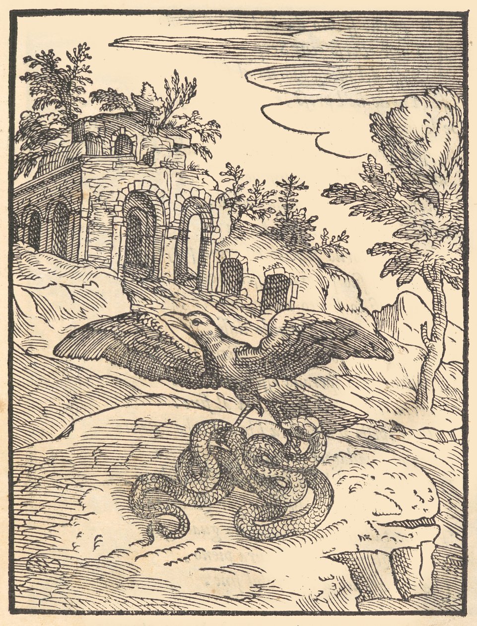 Fågel och orm, 1570. av Giovanni Maria Verdizotti
