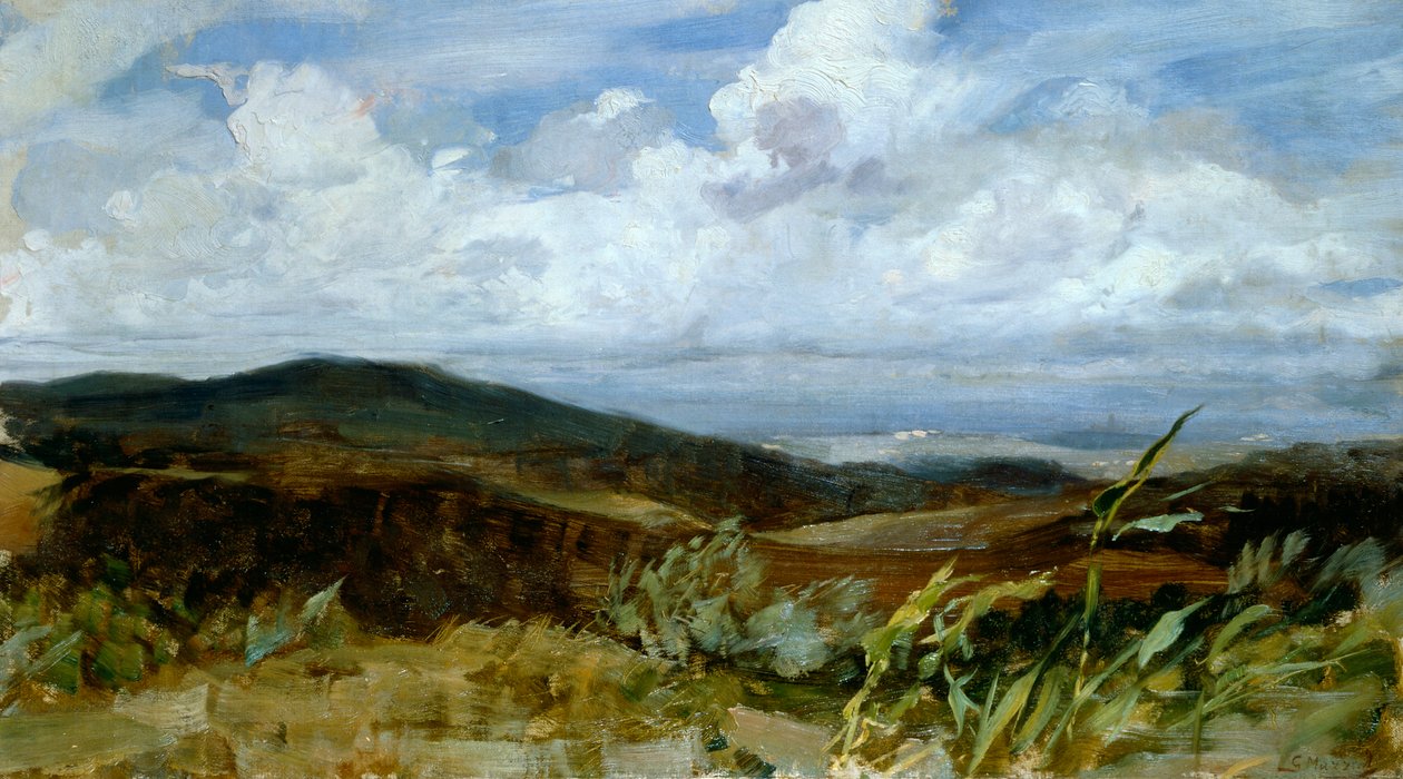 Landskap av Giovanni Muzzioli (1854-1894), olja på duk, 39x68 cm av Giovanni Muzzioli