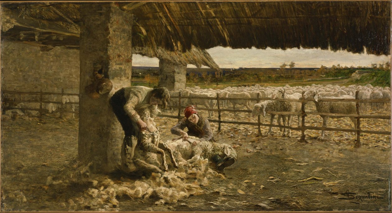 Fårklippningen, 1883-1884 av Giovanni Segantini