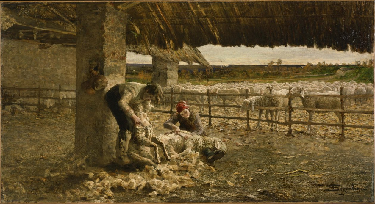 Fårklippning av Giovanni Segantini