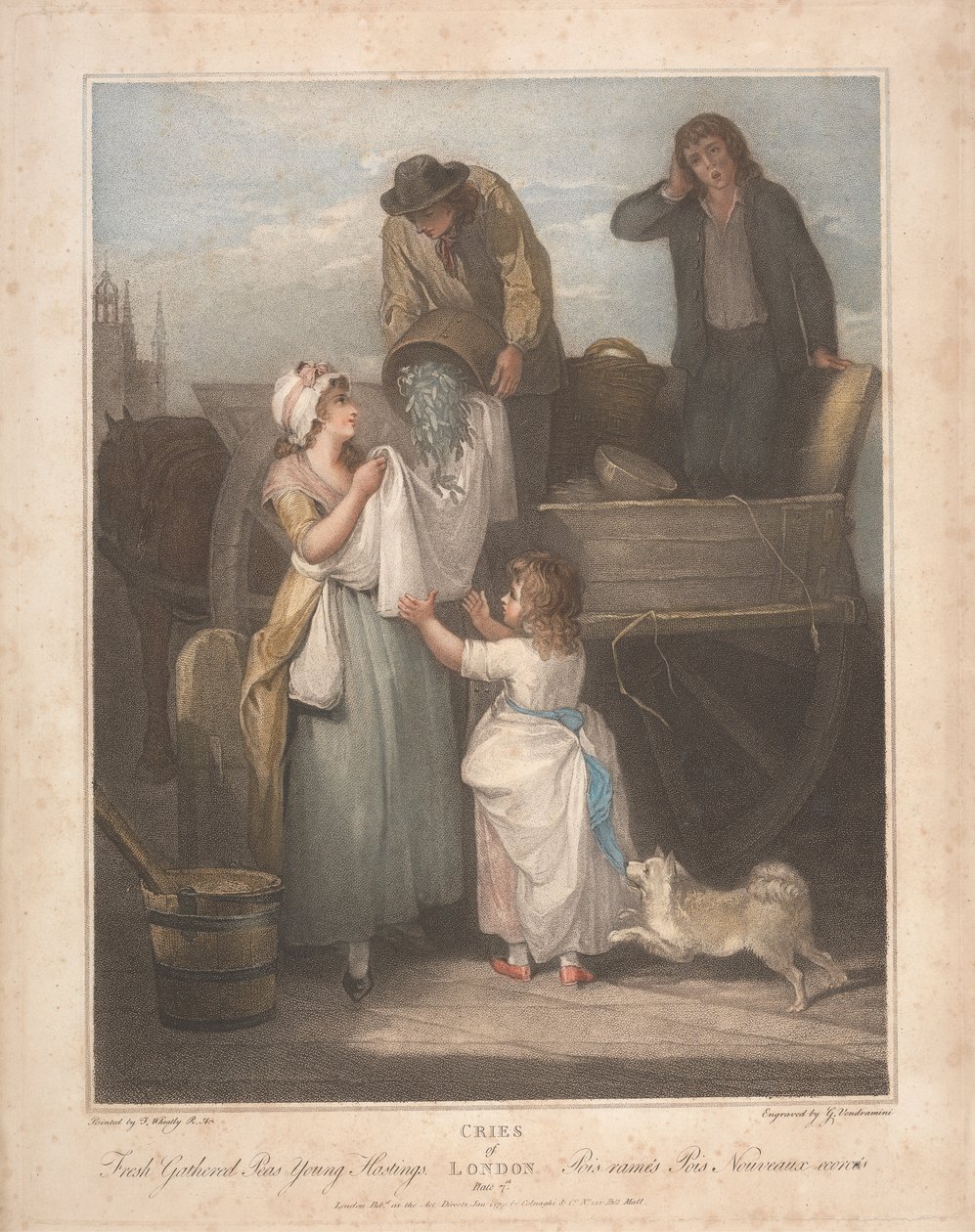 Färska insamlade ärtor, unga Hastings av Giovanni Vendramini