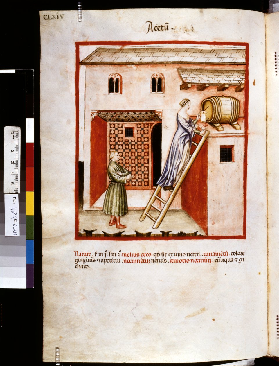 Theatrum sanitatis av Ububchasym de Baldach: "Acetum", 1300-talets första decennium (miniatyr) av Giovannino de