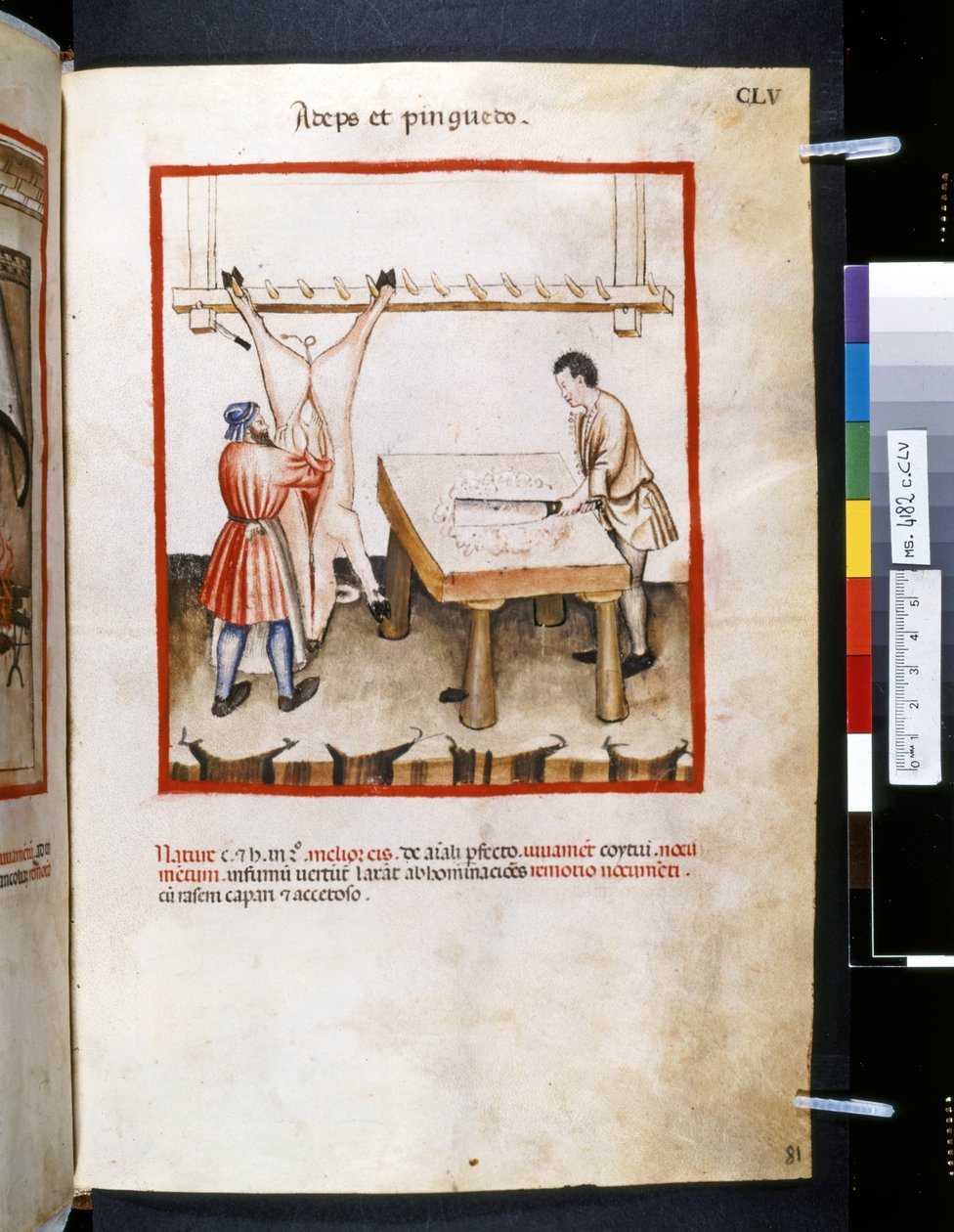 Theatrum sanitatis av Ububchasym de Baldach: "Adeps et Pinguedo", första decenniet av 1300-talet (miniatyr) av Giovannino de