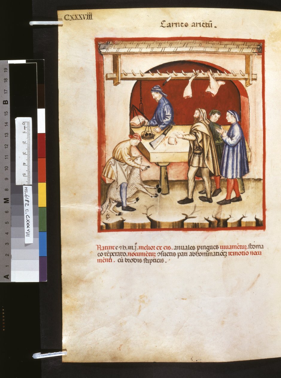 Theatrum sanitatis av Ububchasym de Baldach: "Carnes Arietum", 1300-talets första årtionde (miniatyr) av Giovannino de