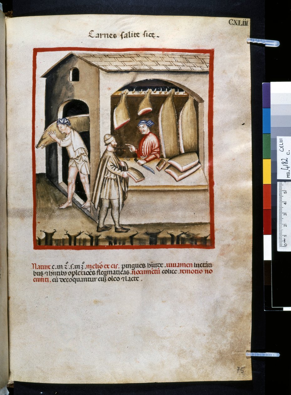 Theatrum sanitatis av Ububchasym de Baldach: "Carnes Salite Si ce", 1300-talets första årtionde (miniatyr) av Giovannino de