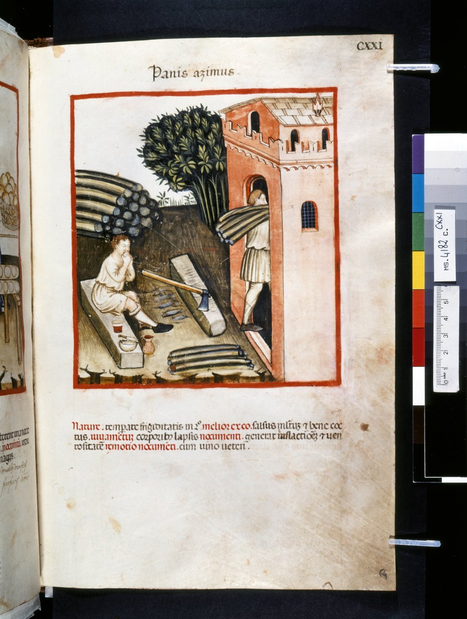 Theatrum sanitatis av Ububchasym de Baldach: "Panis Azimus", 1300-talets första årtionde (miniatyr) av Giovannino de