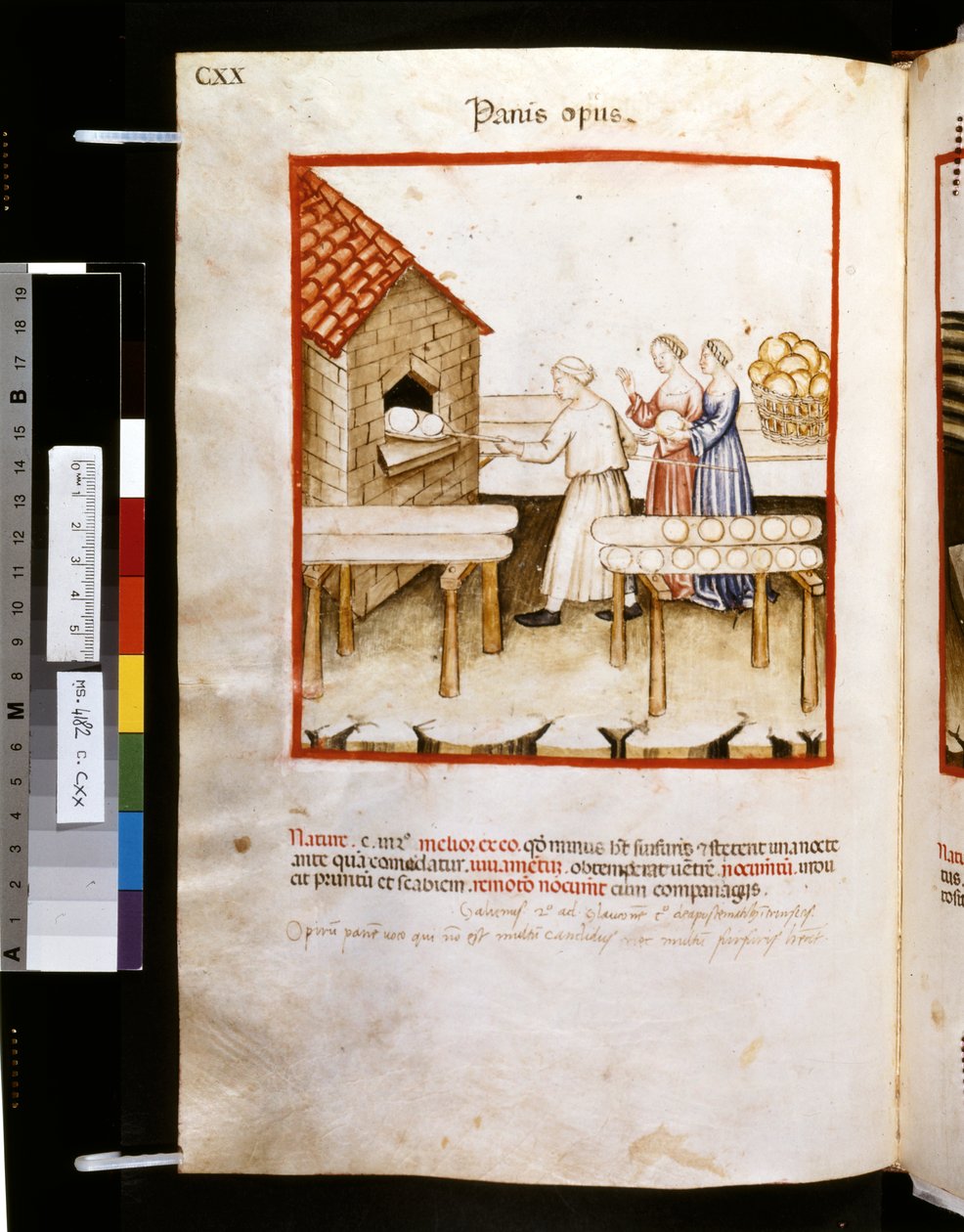 Theatrum sanitatis av Ububchasym de Baldach: "Panis Op Us", 1300-talets första decennium (miniatyr) av Giovannino de