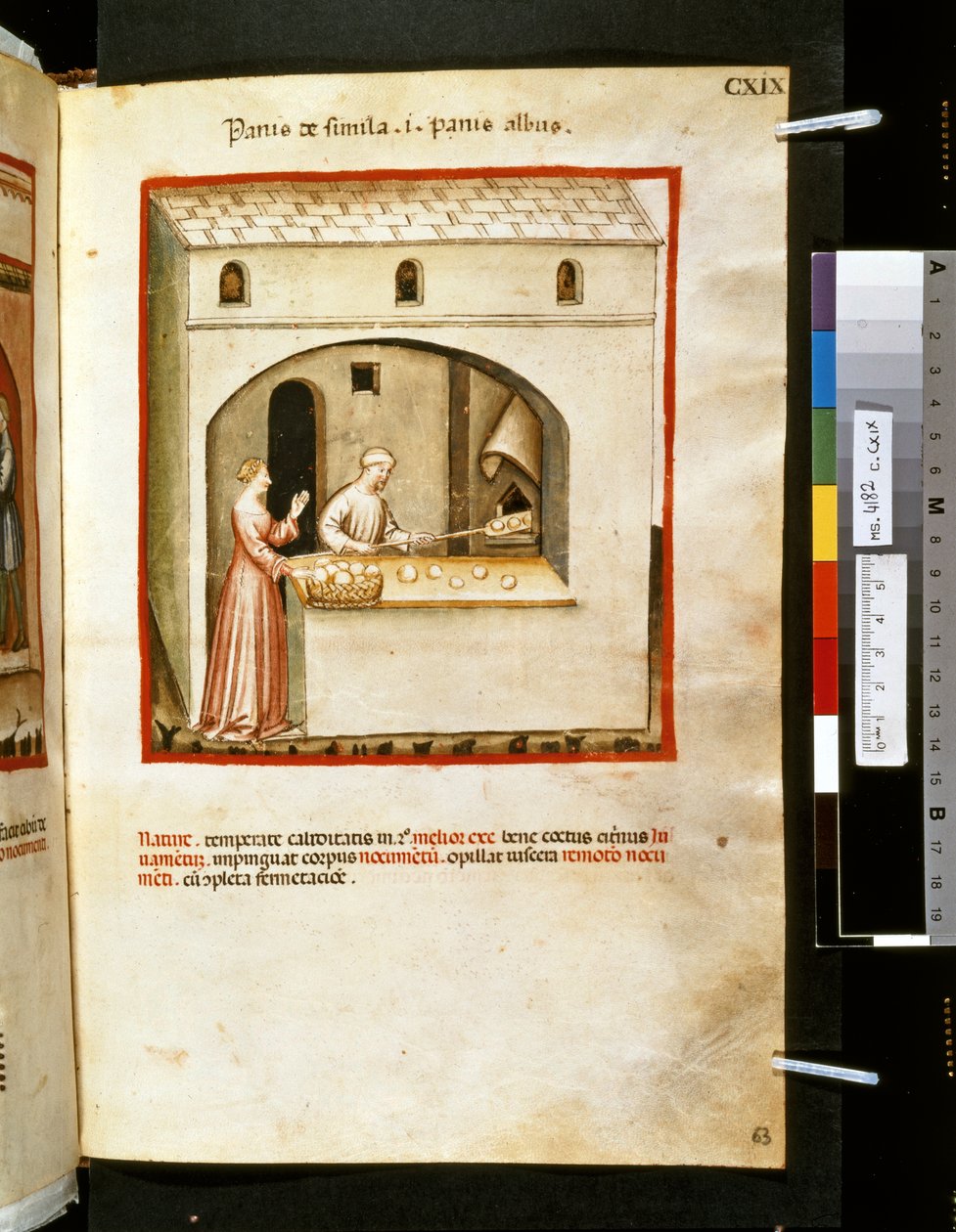 Theatrum sanitatis av Ububchasym de Baldach: "Panis de Simila", 1300-talets första årtionde (miniatyr) av Giovannino de