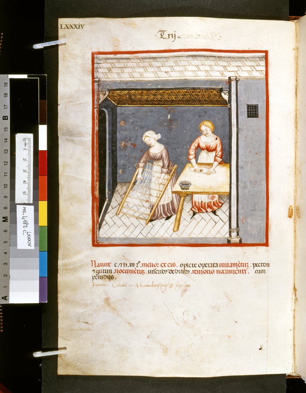 Theatrum sanitatis av Ububchasym de Baldach: "Trij", 1300-talets första decennium (miniatyr) av Giovannino de