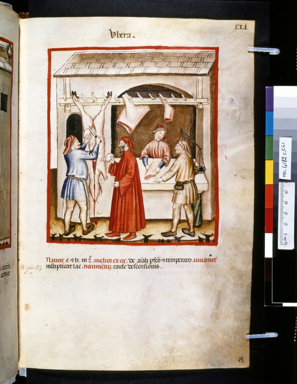 Theatrum sanitatis av Ububchasym de Baldach: "Ubera", 1300-talets första decennium (miniatyr) av Giovannino de