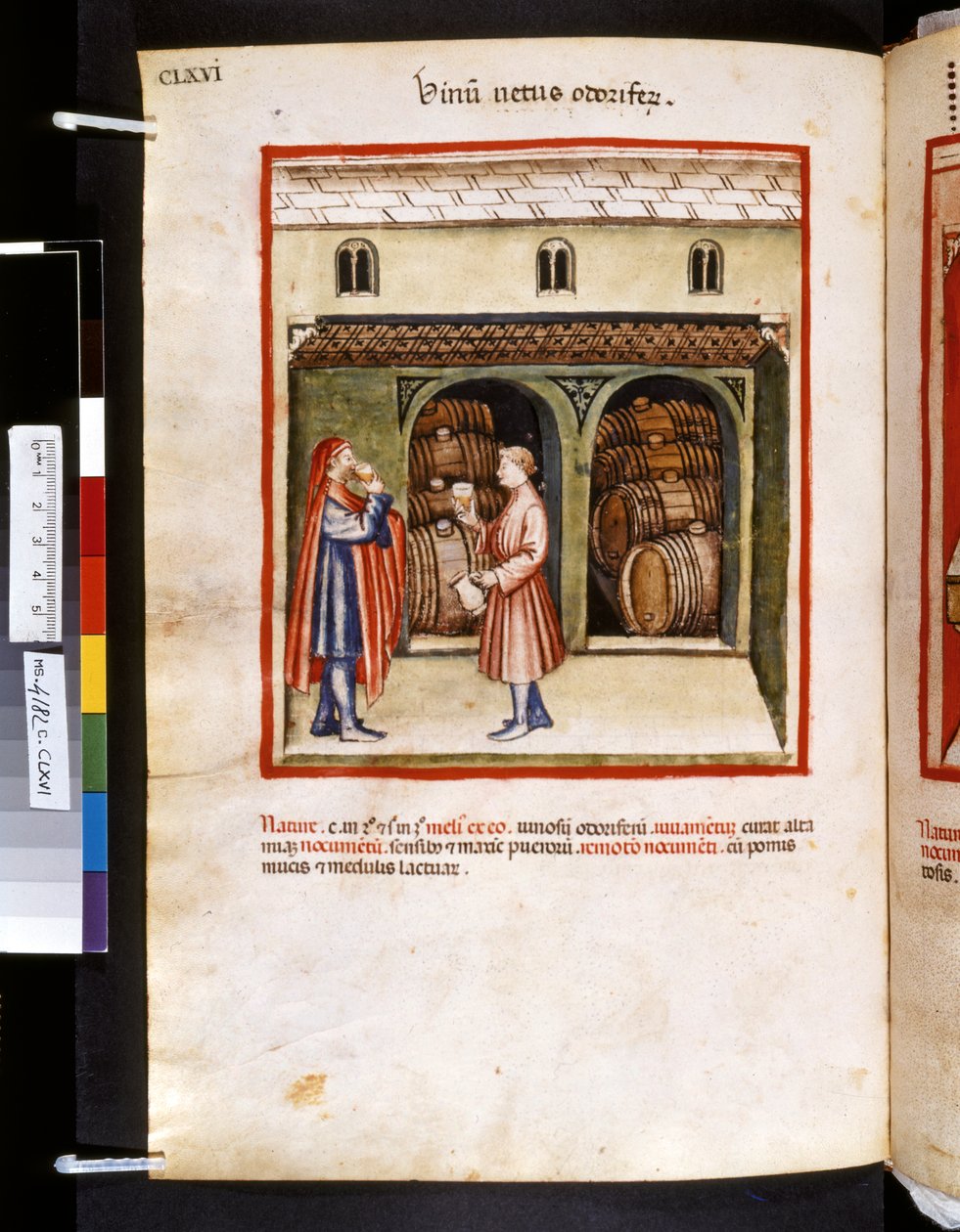 Theatrum sanitatis av Ububchasym de Baldach: "Vinum Vetus Odoriferum", första decenniet av 1300-talet (miniatyr) av Giovannino de