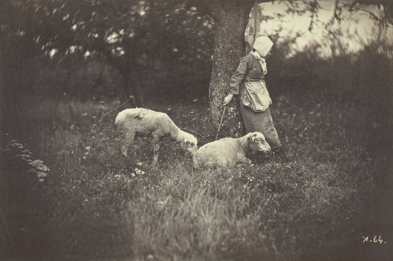 Herdinna lutad mot ett träd, med två får, 1870. av Giraudon