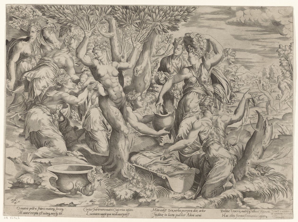 Adonis födelse av Girolamo Fagiuoli (attributed to)