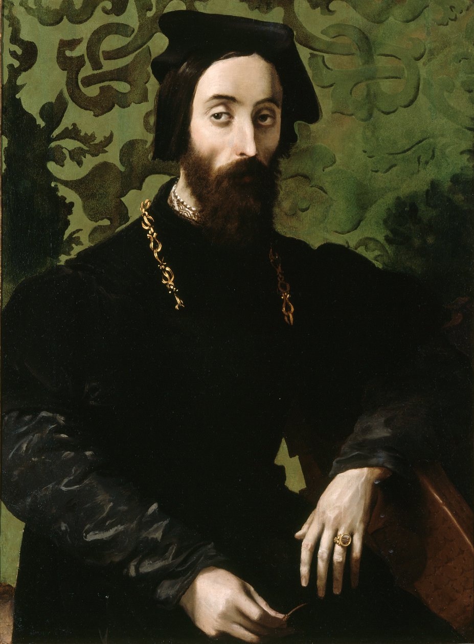 Porträtt av en musiker, ca 1540 (olja på pannå) av Girolamo Mazzola (attr.) Bedoli