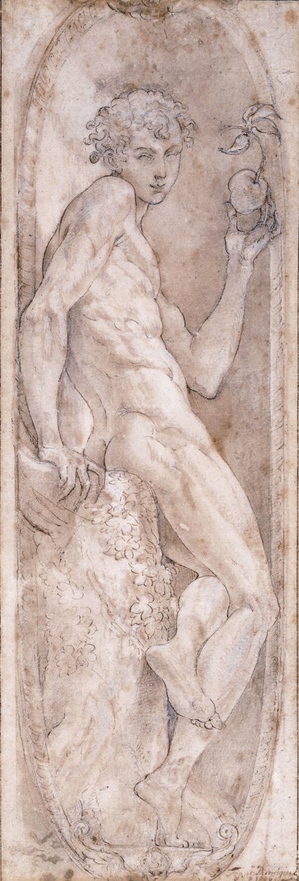 Adam håller ett äpple, sittande, i en medaljong, ca 1547-1553 av Girolamo Mazzola Bedoli