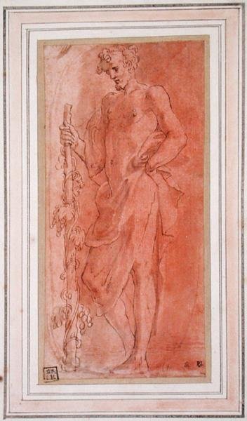 Bacchus (penna och brunt bläck och tvätta på papper) av Girolamo Mazzola Bedoli