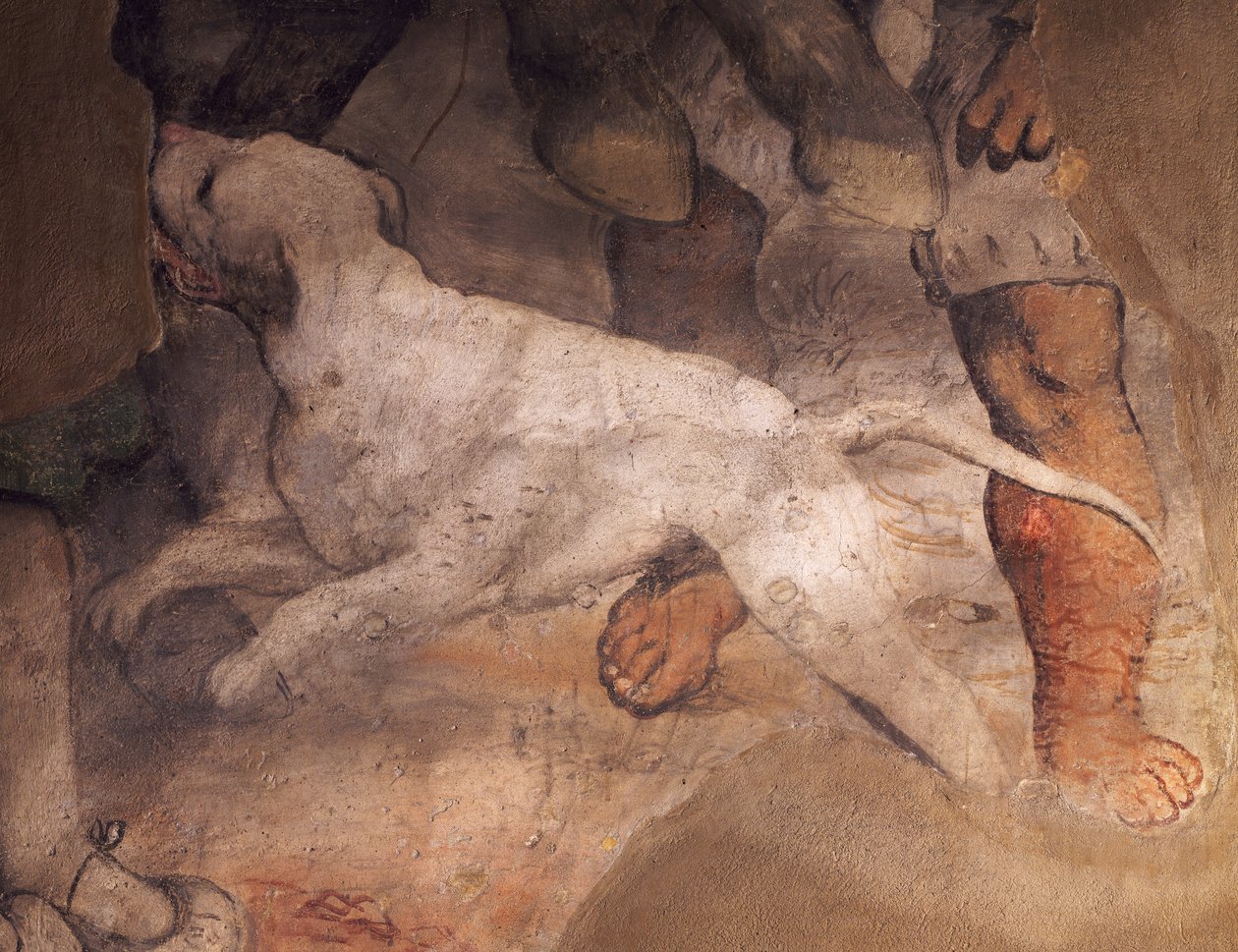 Figur av hund, detalj från fresk av Girolamo Romanino (ca1484-1566), Sant