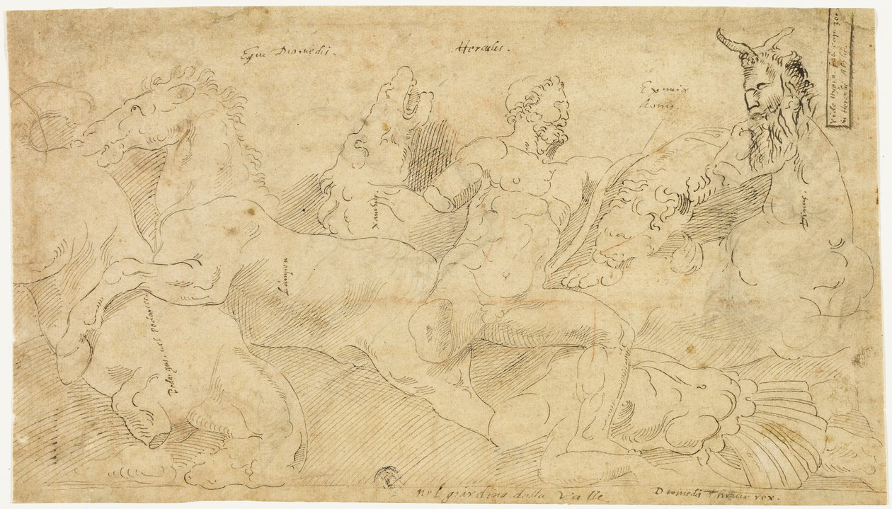 Antik relief med Herkules och Diomedes stövare (recto); Två skisser: Draperad satyr och bevingad kvinnofigur (a tergo) av Girolamo da Carpi