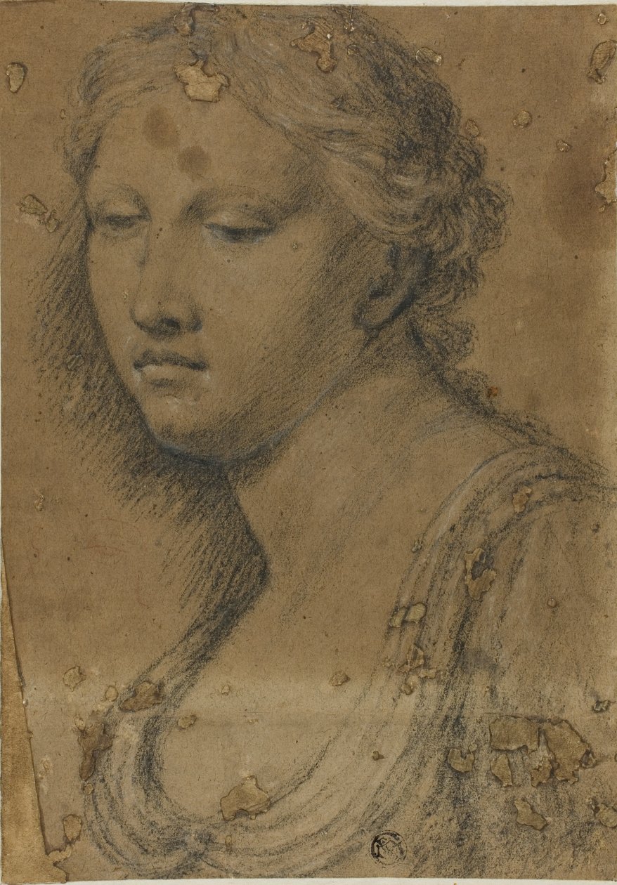 Byst av kvinna av Girolamo da Carpi