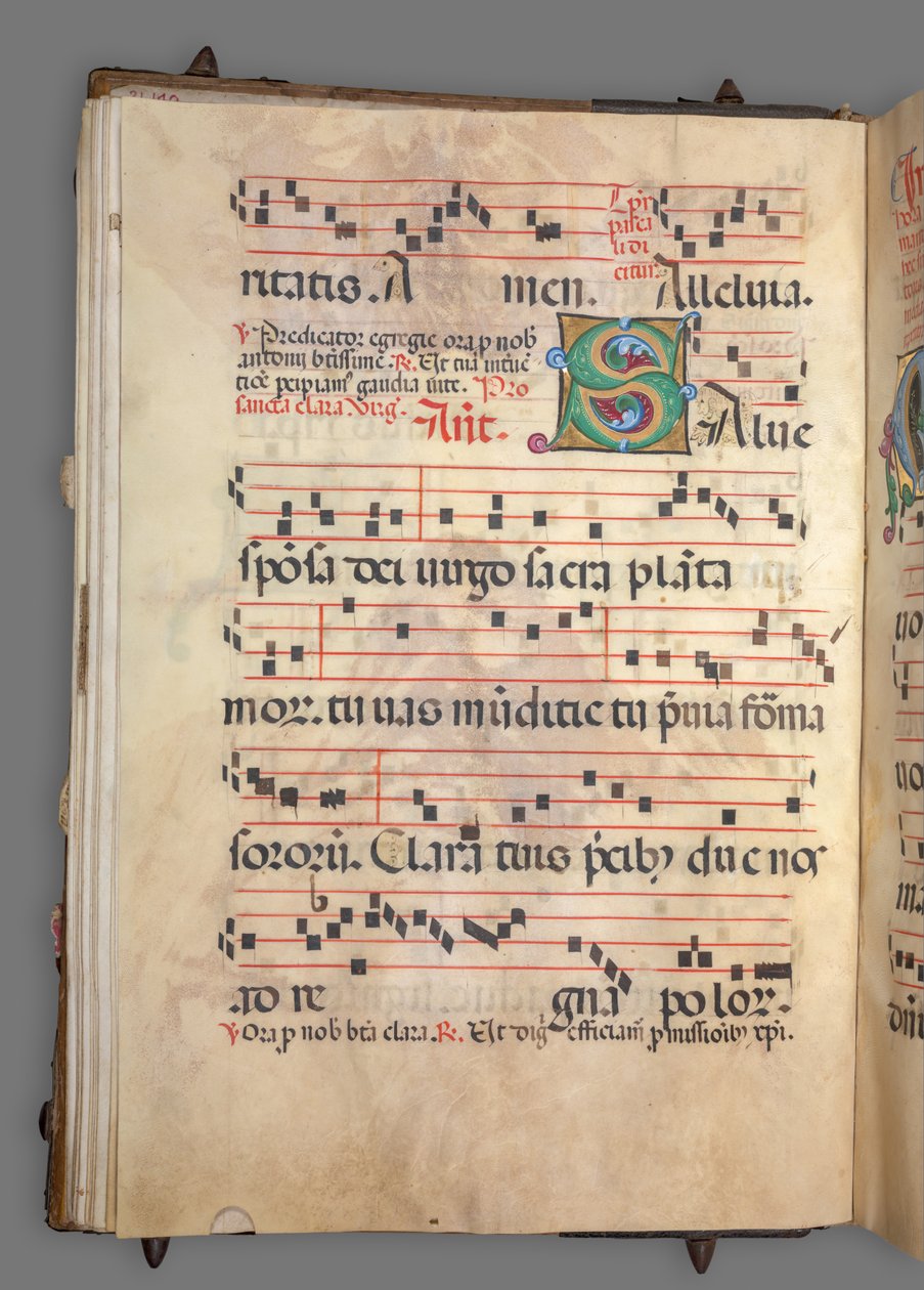 Gradvis, c. 1520. av Girolamo dai Libri