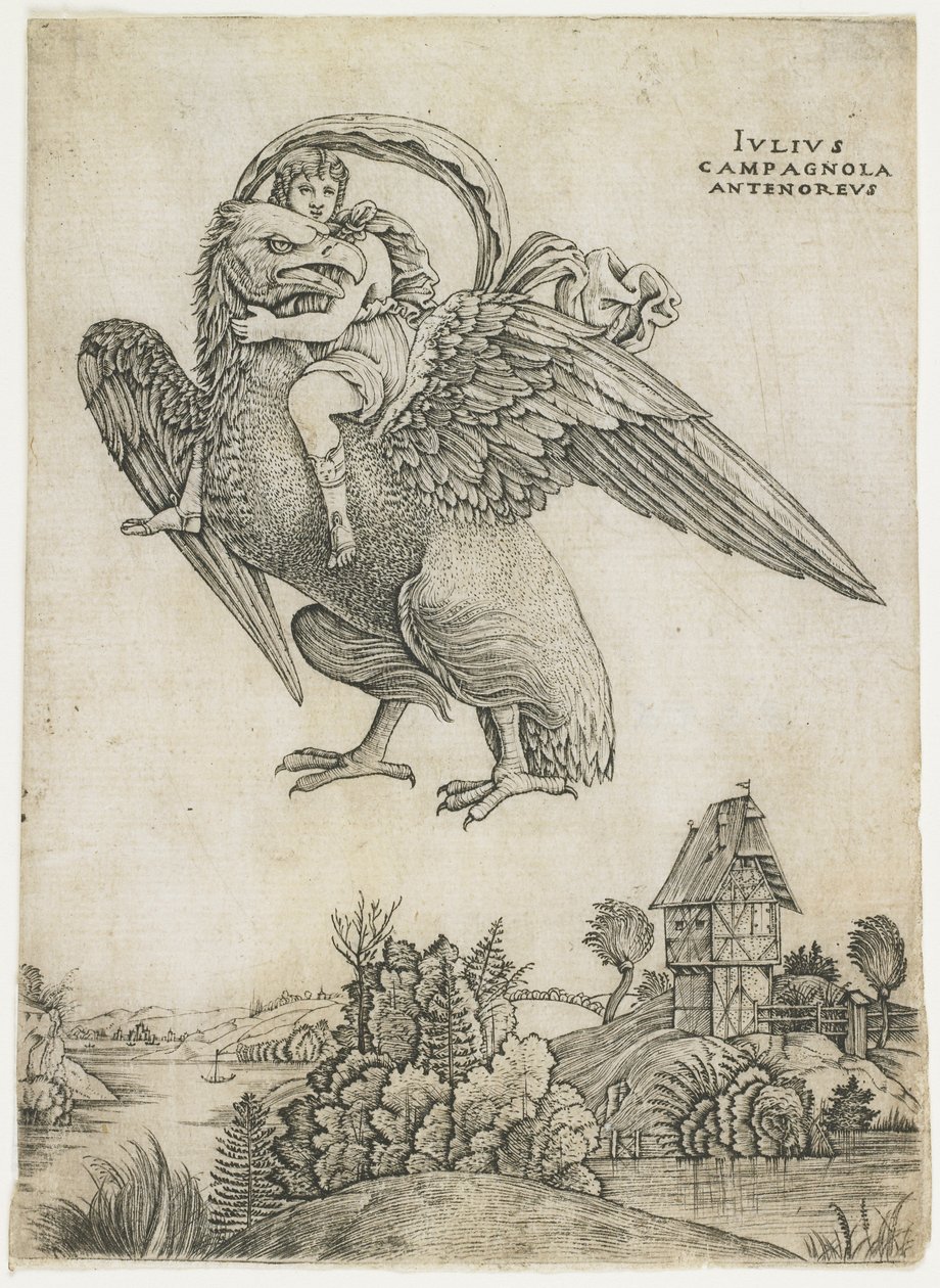 Ganymedes, ca 1500-1505 av Giulio Campagnola