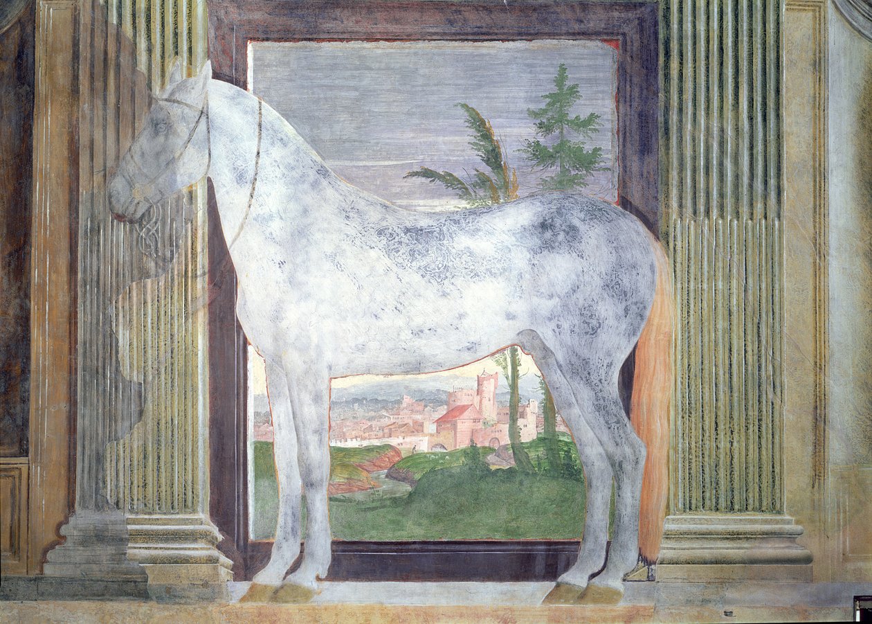 Sala dei Cavalli, detalj som visar ett porträtt av en grå häst från stallet av Ludovico Gonzaga III av Mantua, 1528 av Giulio Romano