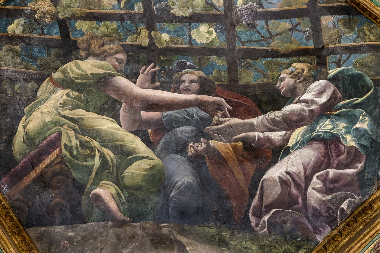 Detalj av valvet med unga kvinnor och vindruvor, Chamber of Cupid and Psyche (Sala di Amore e Psiche) av Giulio (and workshop) Romano