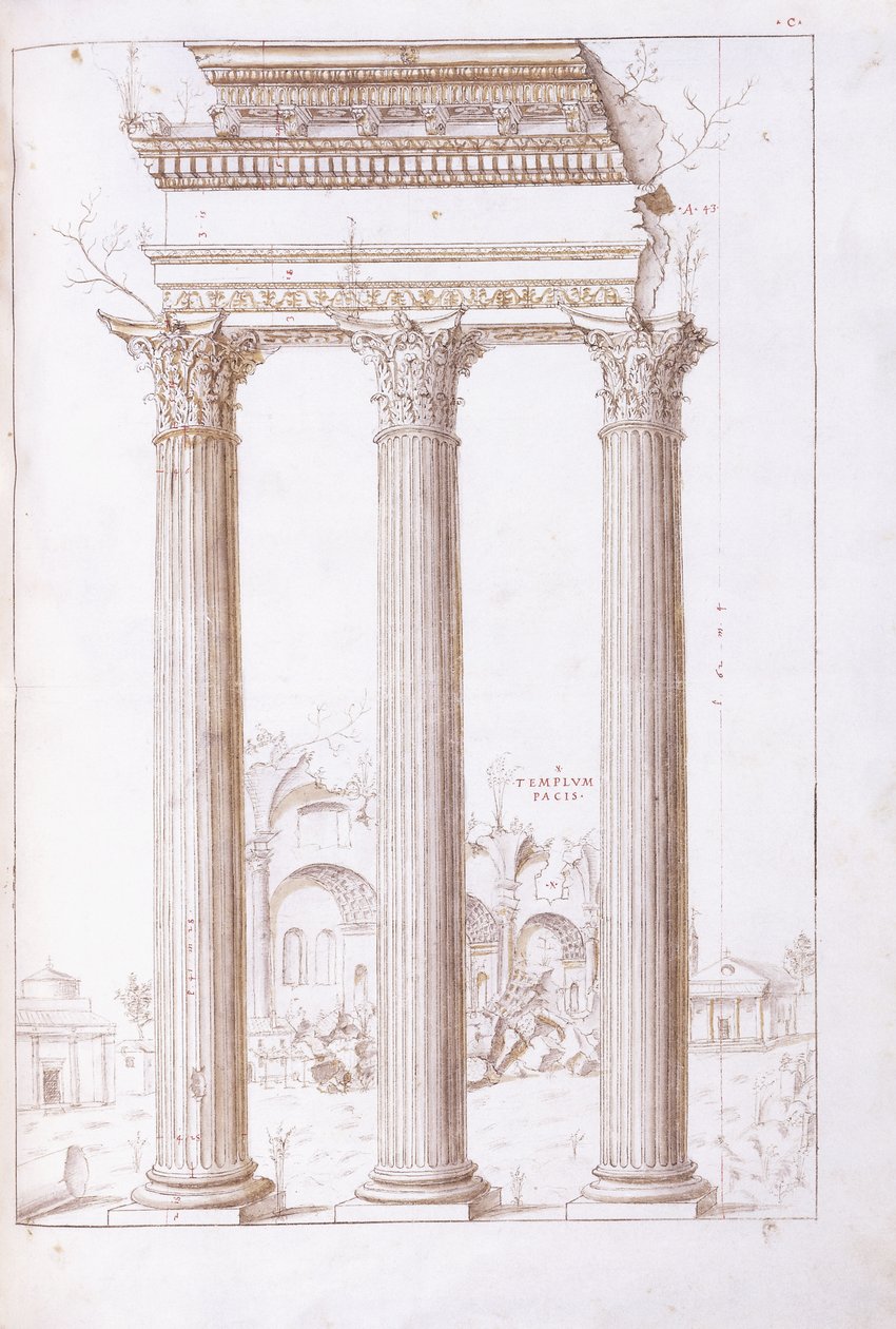 Kolumnerna i templet Castor och Pollux, med fredens tempel i bakgrunden, ca 1550 (en originalteckning i svart krita, penna och brunt bläck) av Giulio (circle of) Romano