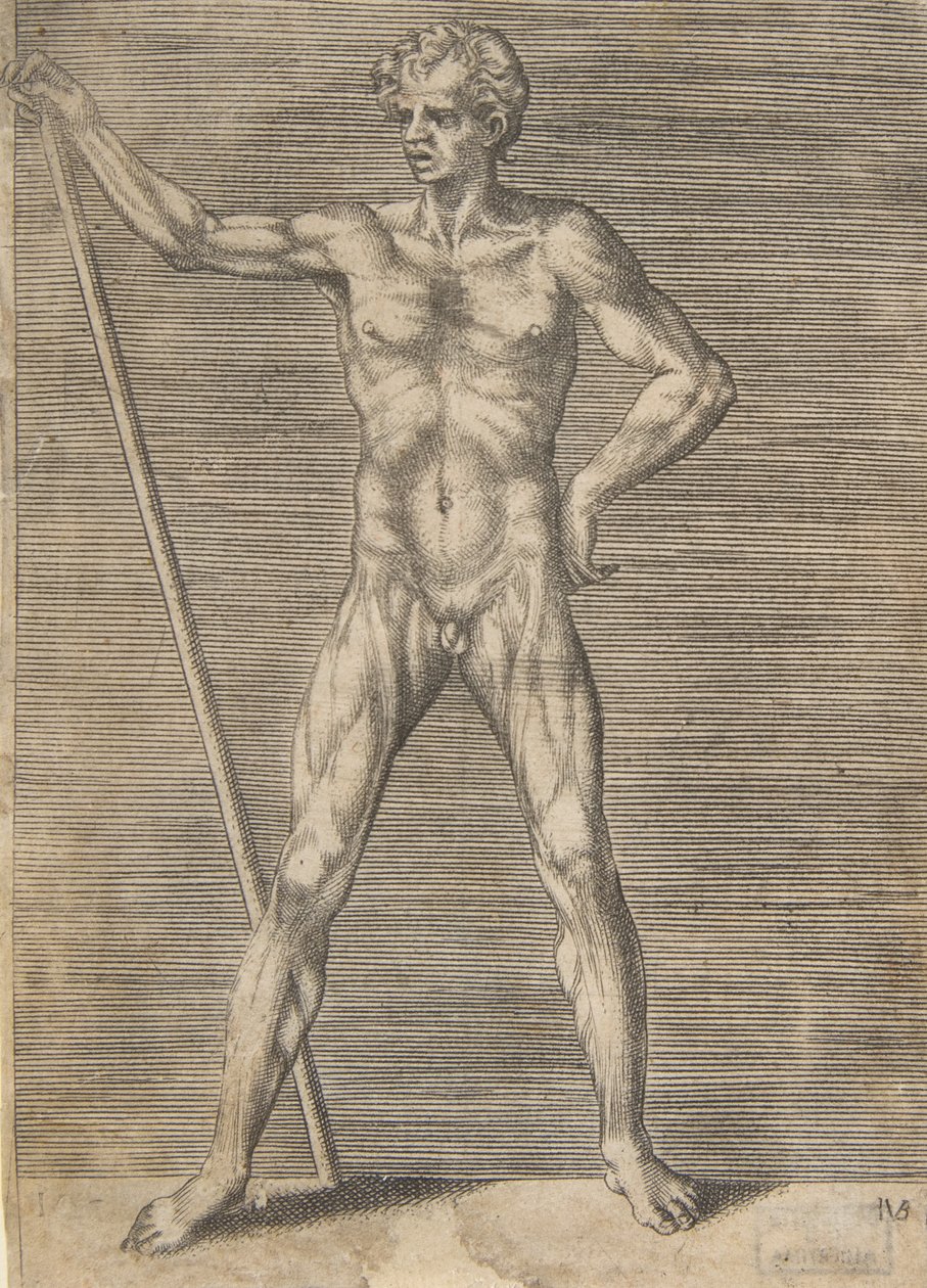 Flätad man sedd framifrån, håller en pinne, ca. 1531-76. av Giulio Bonasone