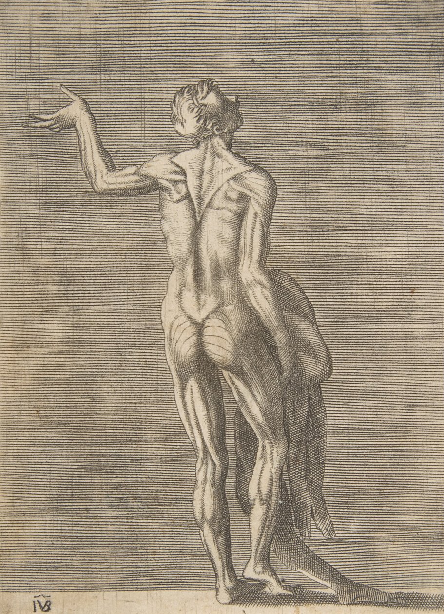 Flätad man med vänster hand på höften, håller huden i höger hand, ca. 1531-76. av Giulio Bonasone