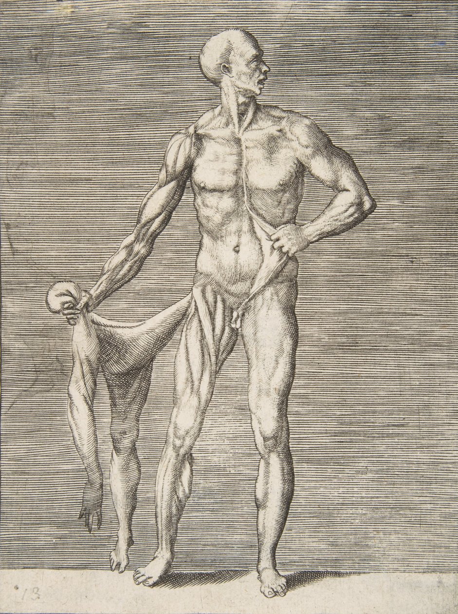 Man sedd framifrån, håller huden på sin högra arm och ben i sin högra Ha..., 1500-talet. av Giulio Bonasone