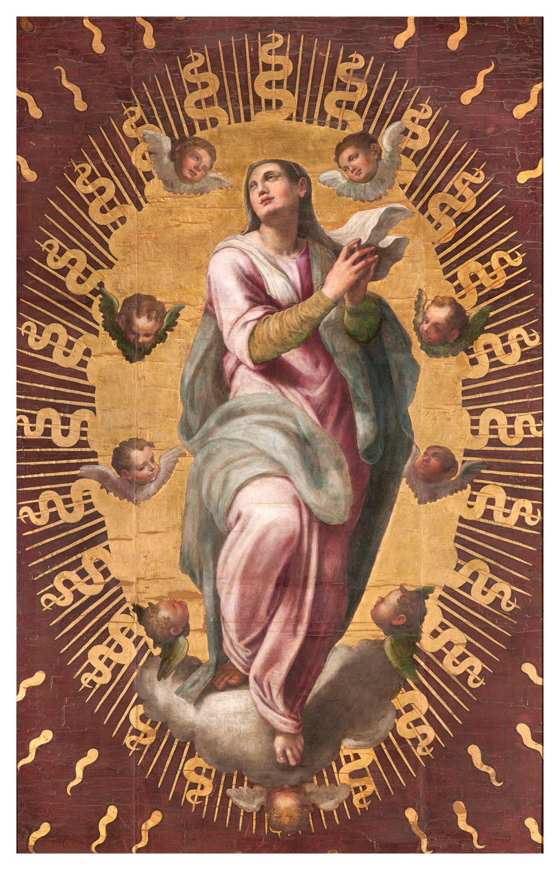Kanonernas sakristia, Giulio Campi 1568, antagandets fana av Giulio Campi