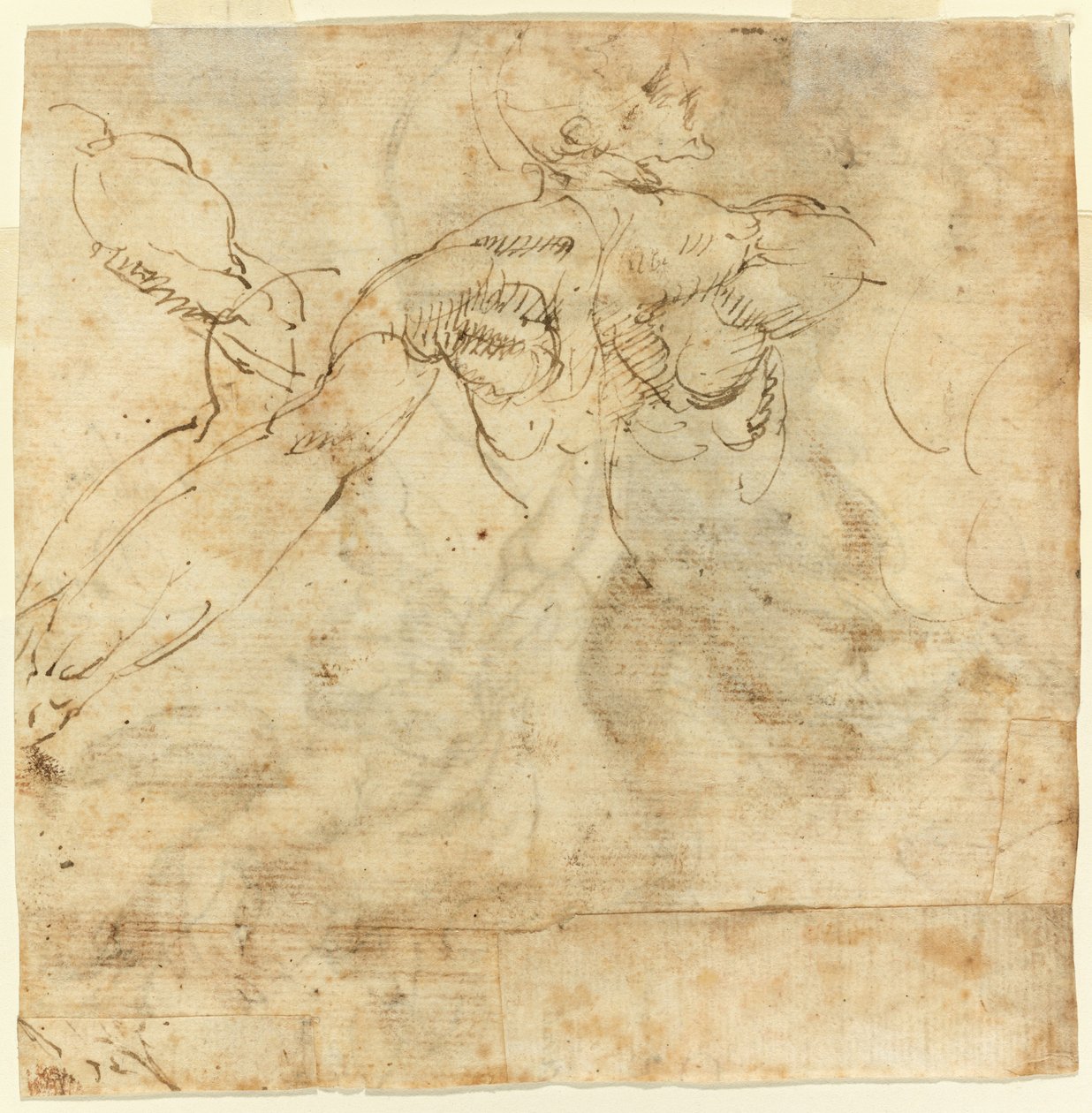 Studie av en rygg av Giulio Cesare Procaccini