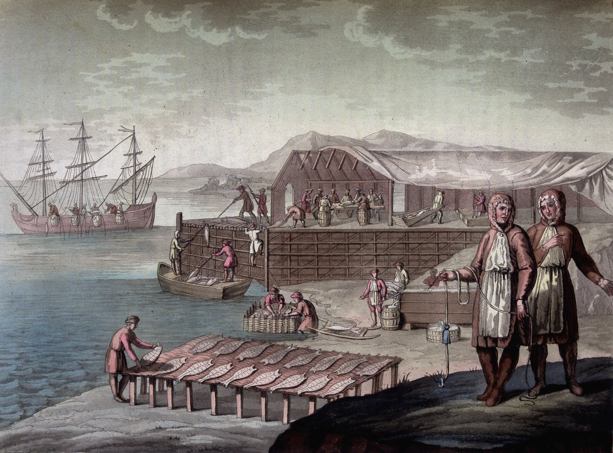 Torskfiske gjort av invånarna i Newfoundland - i "" Le costume ancien et moderne"" av Ferrario, red. Milano av Giulio Ferrario