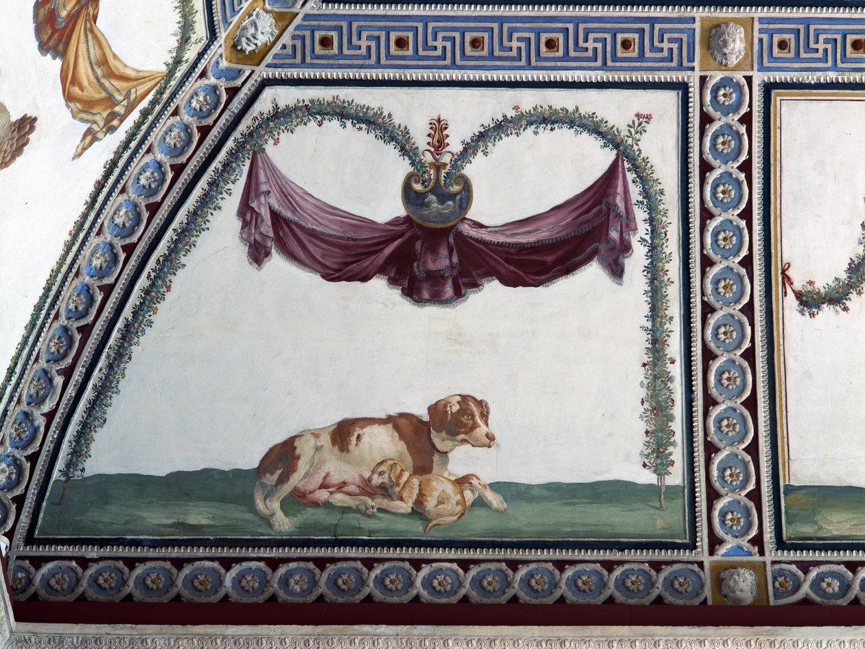 Camera con Fregio di Amorini Chamber of the Cupid Frieze detalj av en hund och en valp, fresk från 1520-talet av Giulio Romano