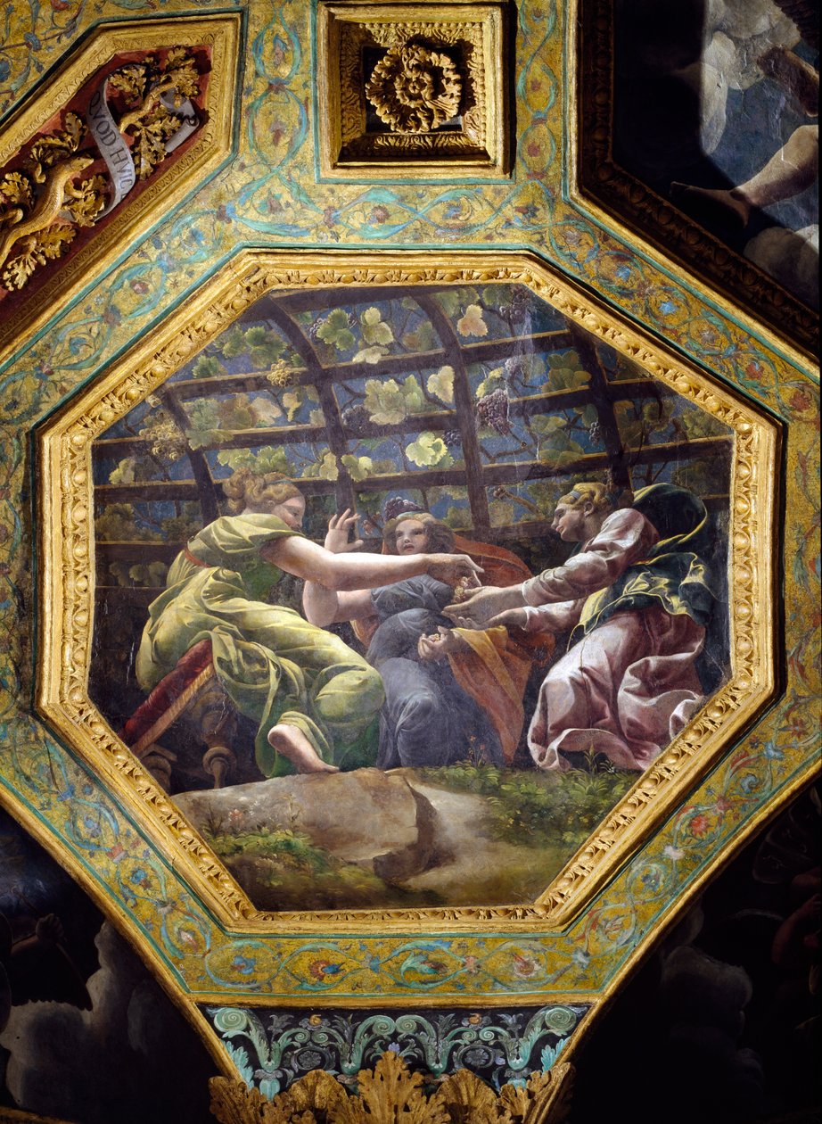 Kvinnor som plockar druvor, takcaisson från Hall of Cupid and Psyche, 1528 (olja på stuckatur) av Giulio Romano