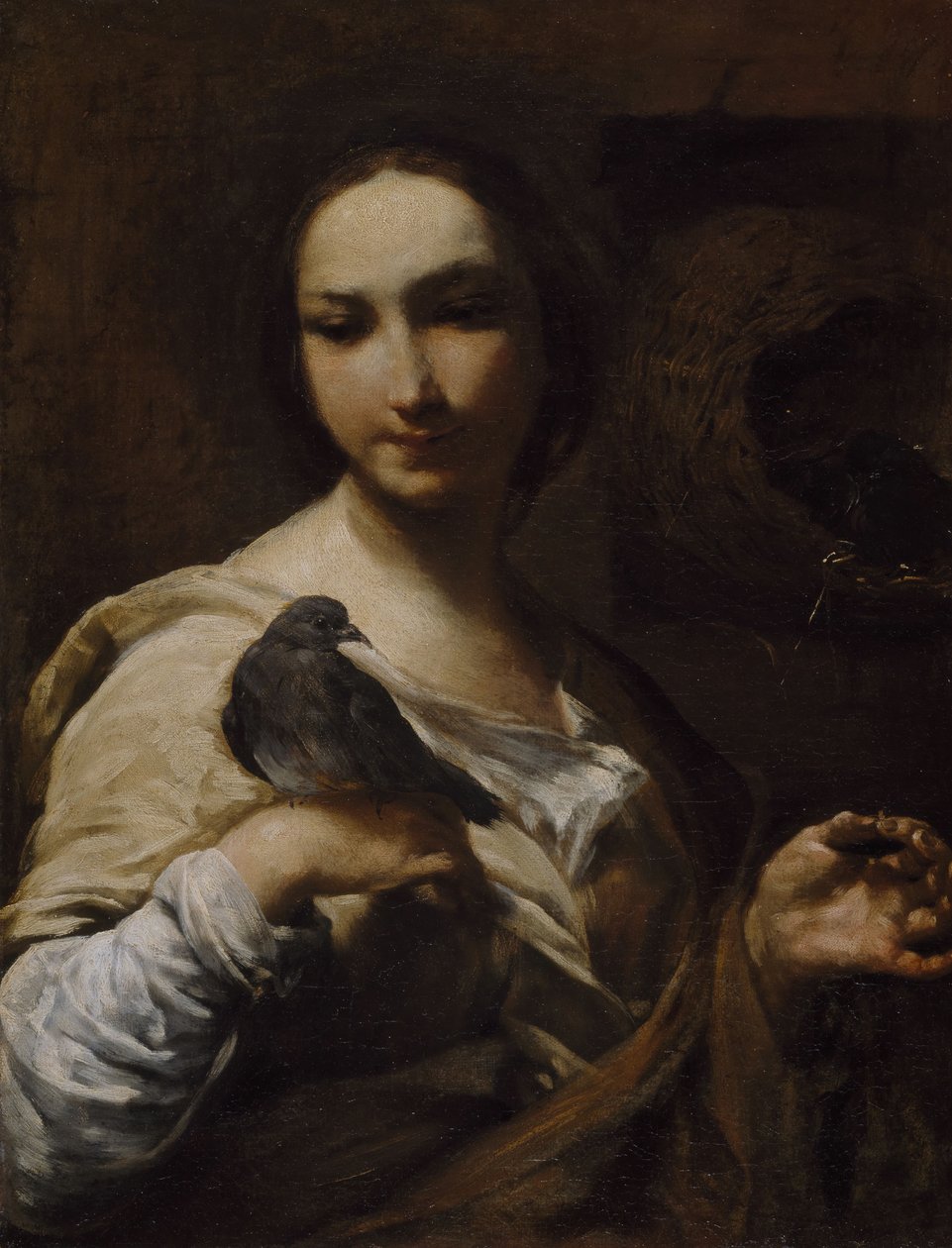 Flicka som håller en duva, 1721-27. av Giuseppe Maria Crespi