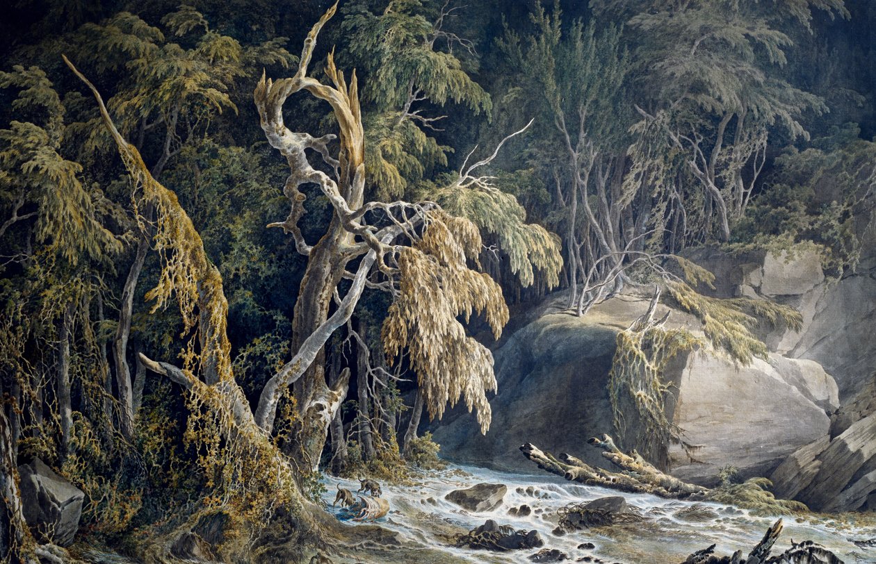 Stenigt landskap med träd uppryckta, av Giuseppe Pietro Bagetti (1764-1831). av Giuseppe Pietro Bagetti